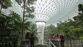 Warum Sie an diesem Flughafen besonders aufpassen müssen, Ihren Flug nicht zu verpassen? Der Flughafen in Singapur ist ein „Silent Airport“.