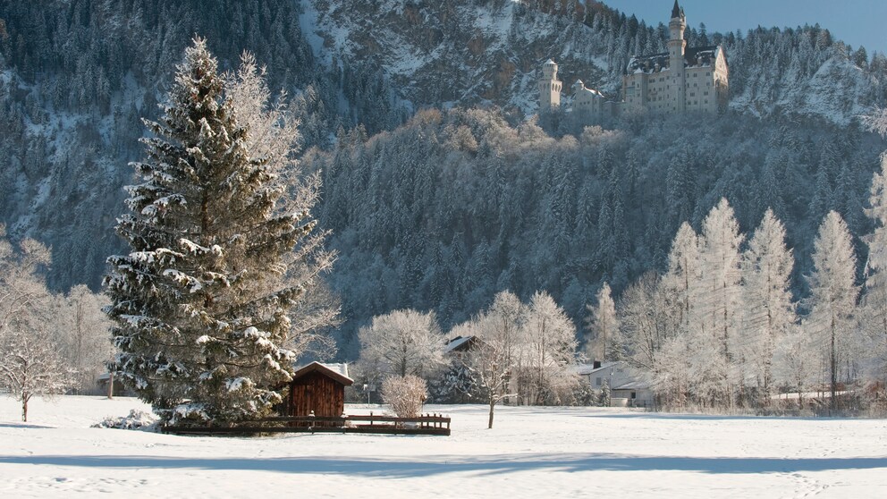 Schloss Neuschwanstein im Winter