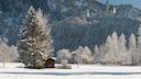 Schloss Neuschwanstein im Winter