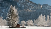 Schloss Neuschwanstein im Winter