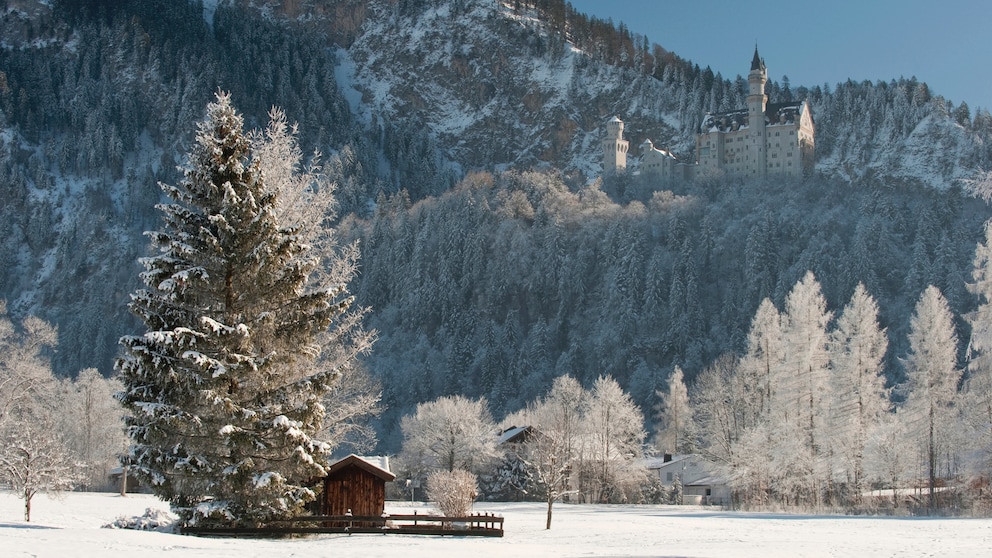 Schloss Neuschwanstein im Winter