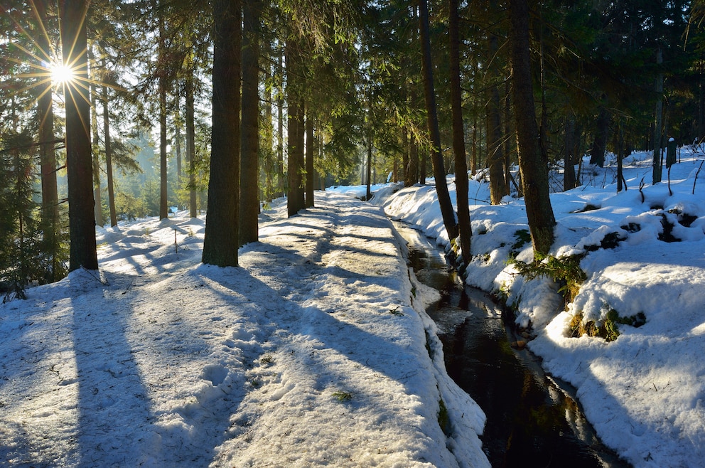 Winterwandern im Harz, Wanderweg bei Altenau