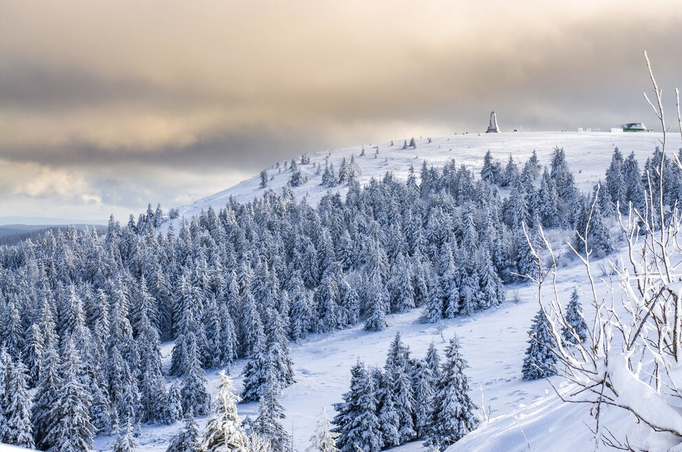 Winterwandern im Schwarzwald