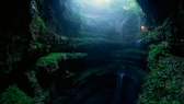 Neversink Pit