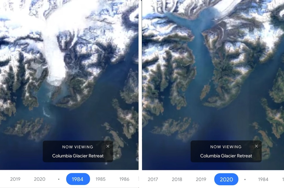 Collage / Screenshot Google Earth Engine Timelapse