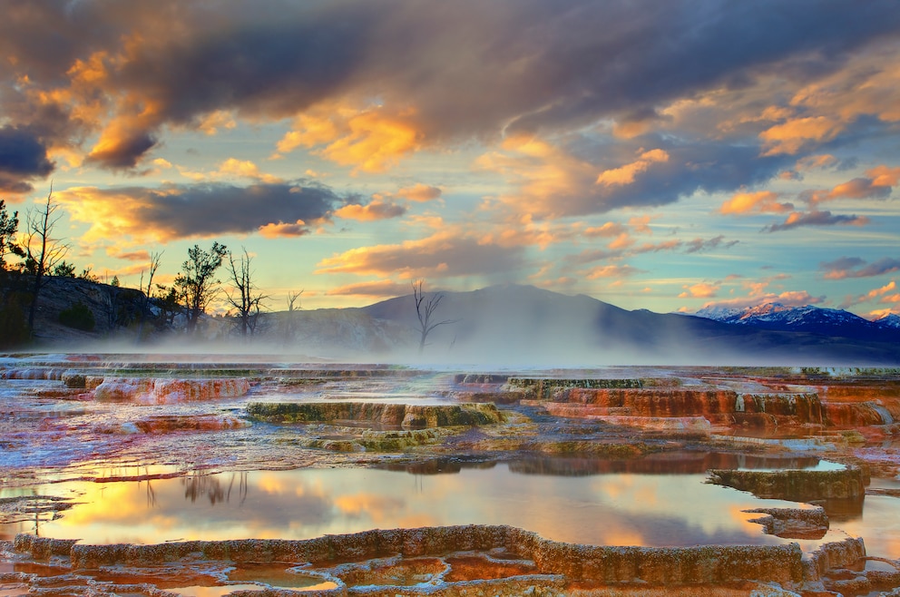 Mammoth Hot Springs Yellowstone