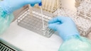 PCR Test Reise