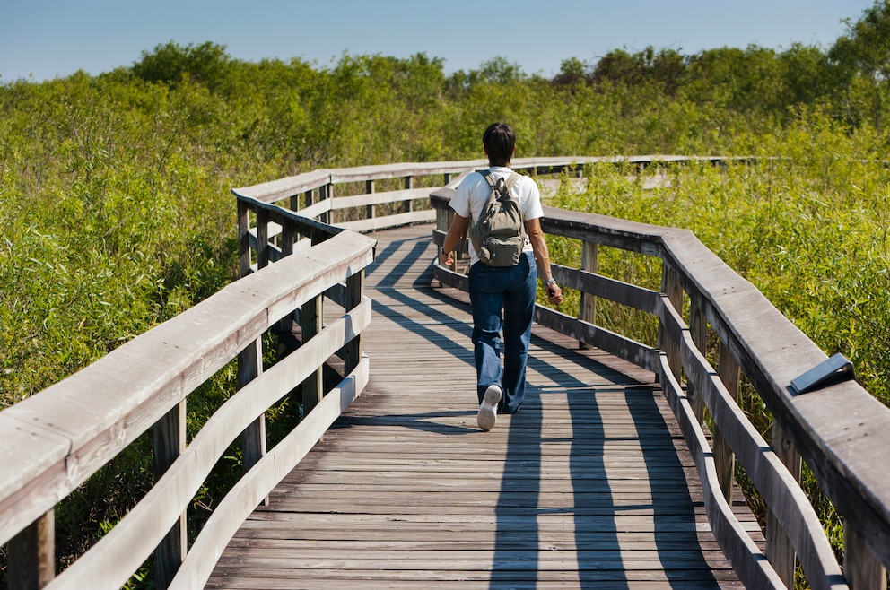 Wandern Everglades-Nationalpark