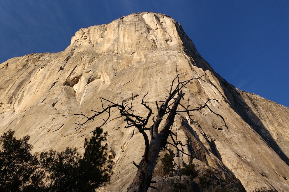 El Capitan in Yosemite