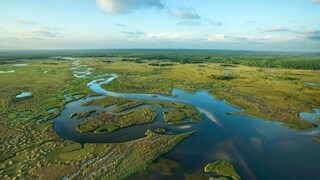 Everglades Florida