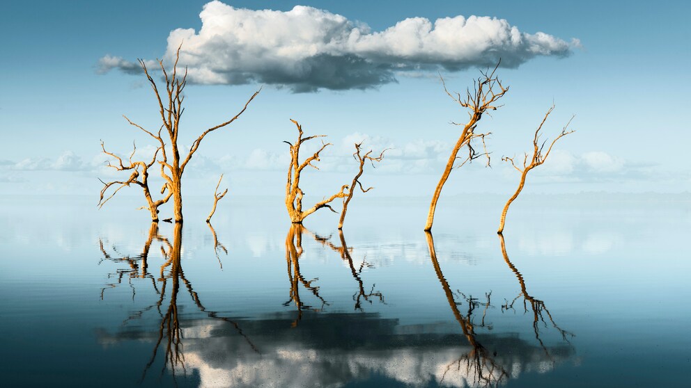 Reflektion Wolken