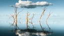 Reflektion Wolken