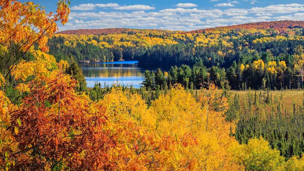 Algonquin Provincial Park, Kanada