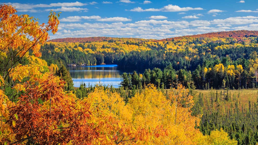 Algonquin Provincial Park, Kanada