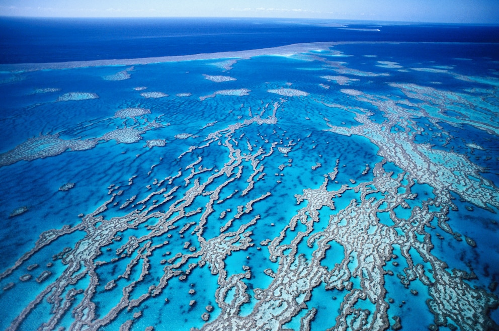 Great Barrier Reef