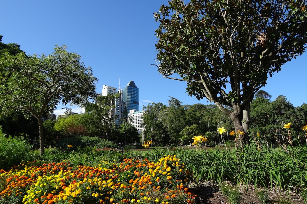 Brisbane Botanischer Garten