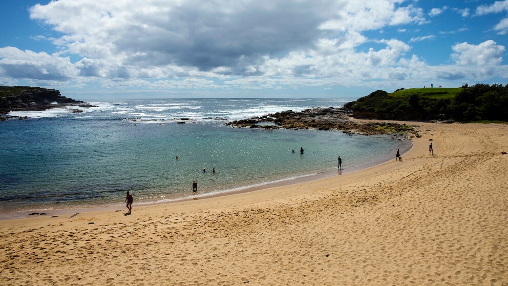 Sydney und der Hai