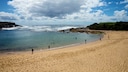 Sydney und der Hai