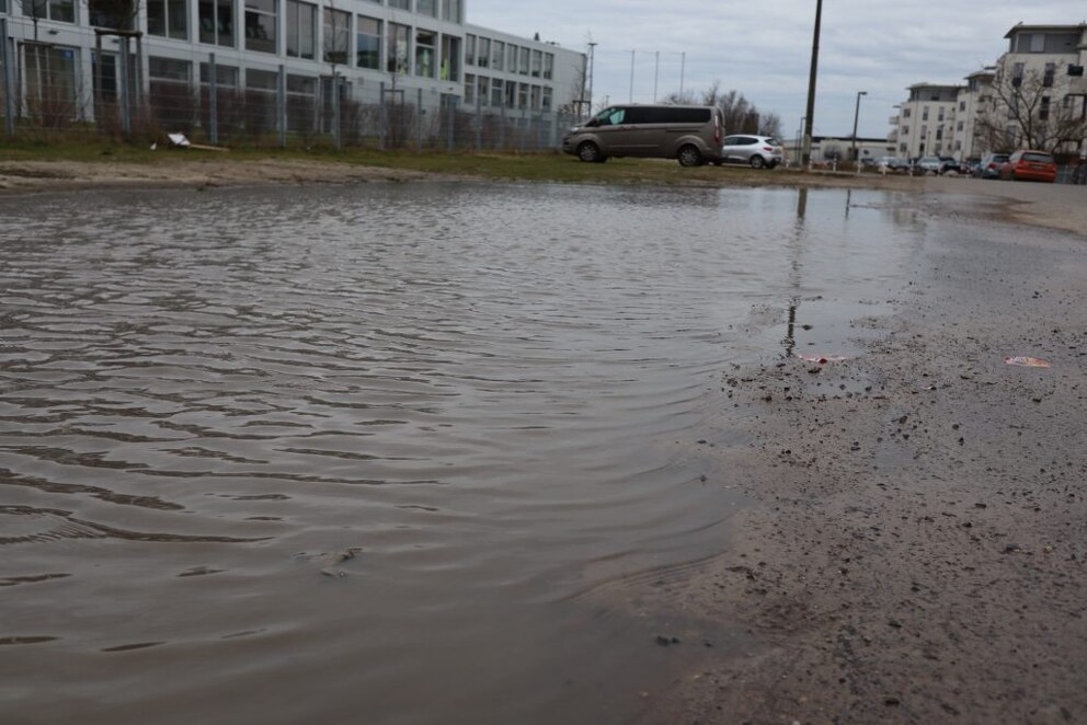 Baltic Sea or Berlin Puddle – the differences, according to the reviews, seem marginal