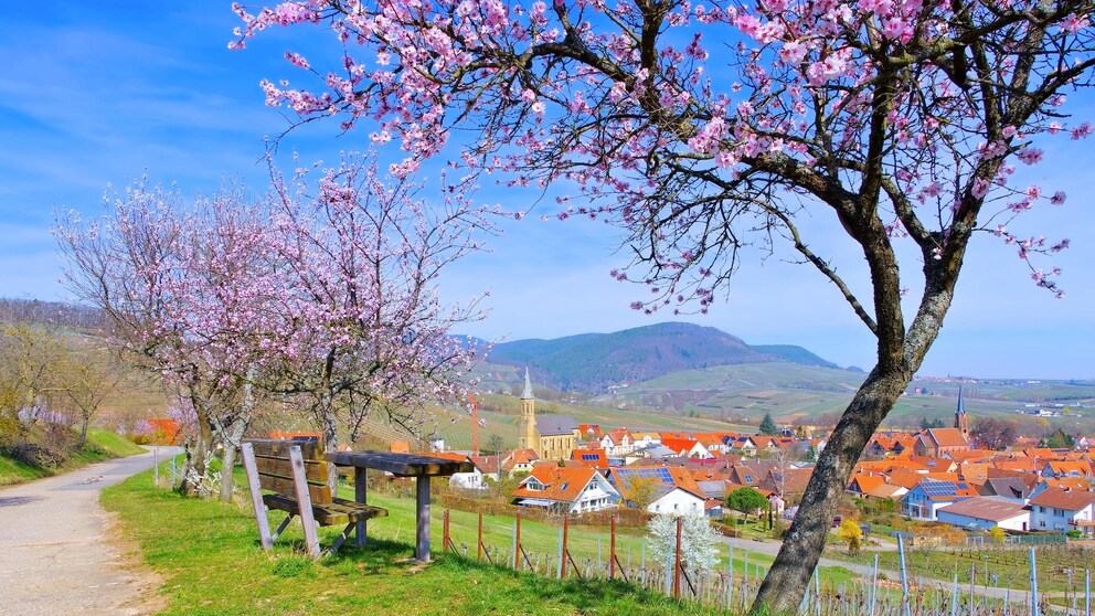 Schönste Wanderwege Deutschland