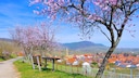 Schönste Wanderwege Deutschland