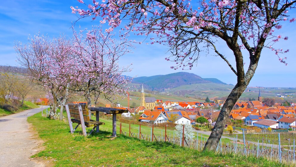 Schönste Wanderwege Deutschland