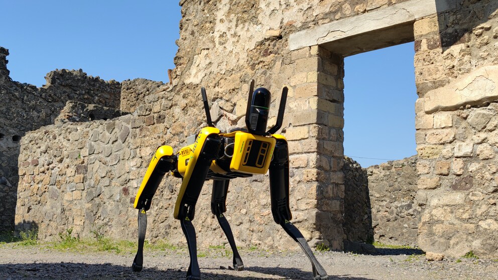Pompeji Roboter-Hund