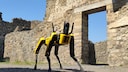 Pompeji Roboter-Hund