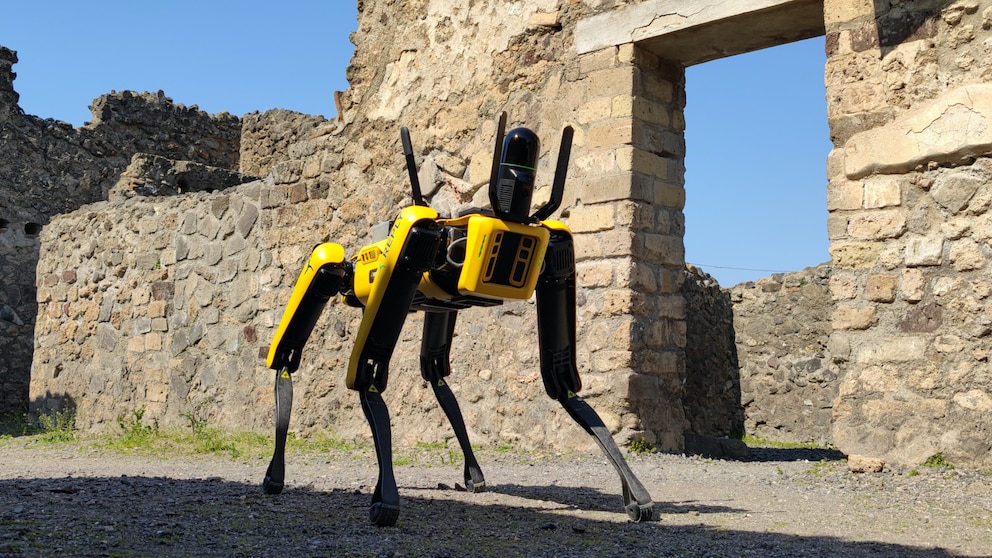 Pompeji Roboter-Hund