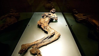 Nationalmuseum von Irland