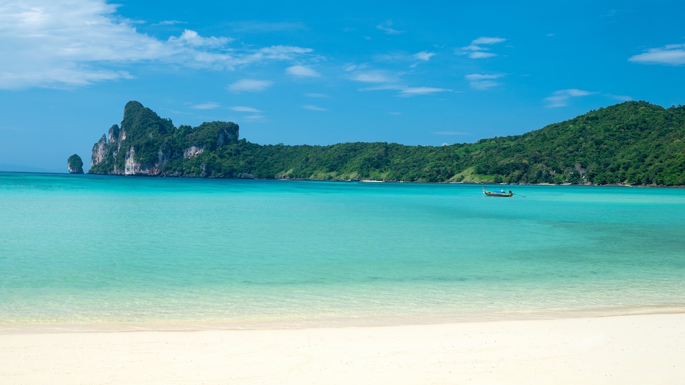 Koh Phi Phi Bambushaie