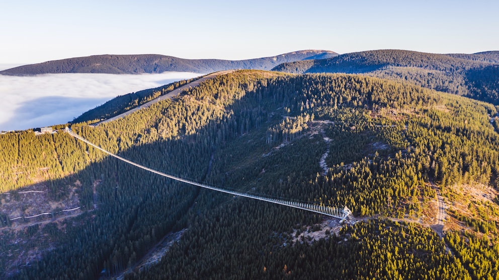Sky Bridge 721