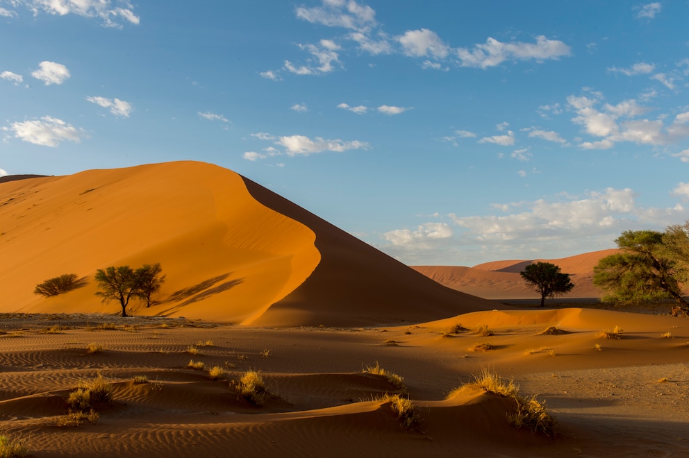 Die Wüsten in Namibia begeistern durch ihre Vielfältigkeit