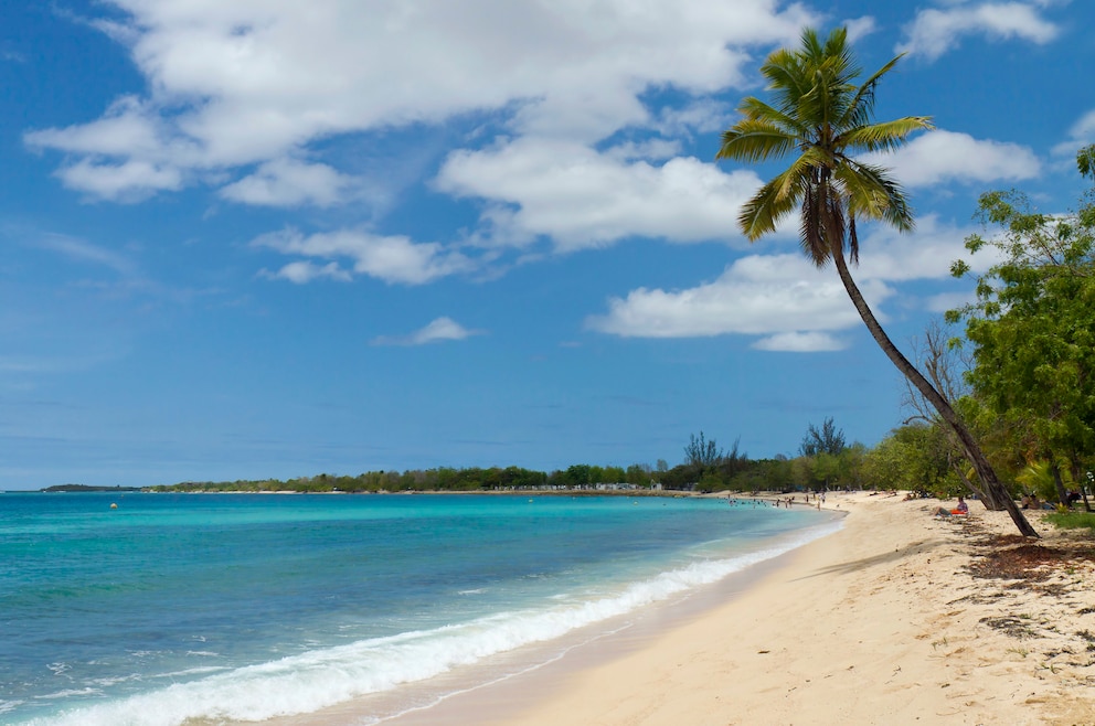 Strand Grand-Terre Guadeloupe