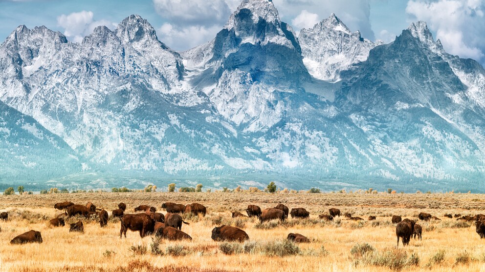 Die Grand Teton Range im Yellowstone National Park