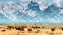 Die Grand Teton Range im Yellowstone National Park