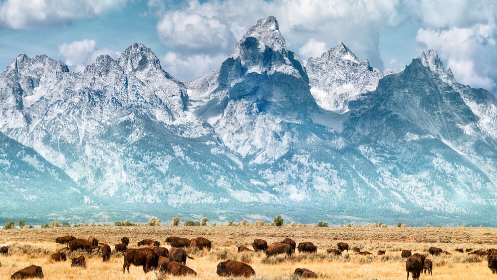 Die Grand Teton Range im Yellowstone National Park