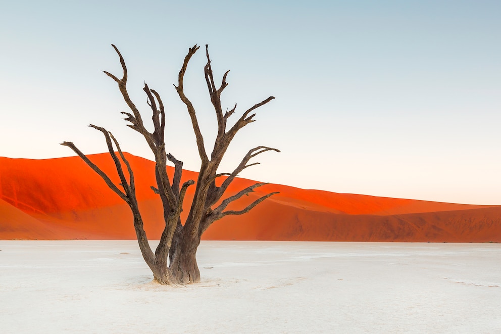 Seit über 800 Jahren stehen die von der Sonne ausgebrannten Akazien im Dead Vlei