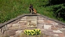 Stuczel-Denkmal
