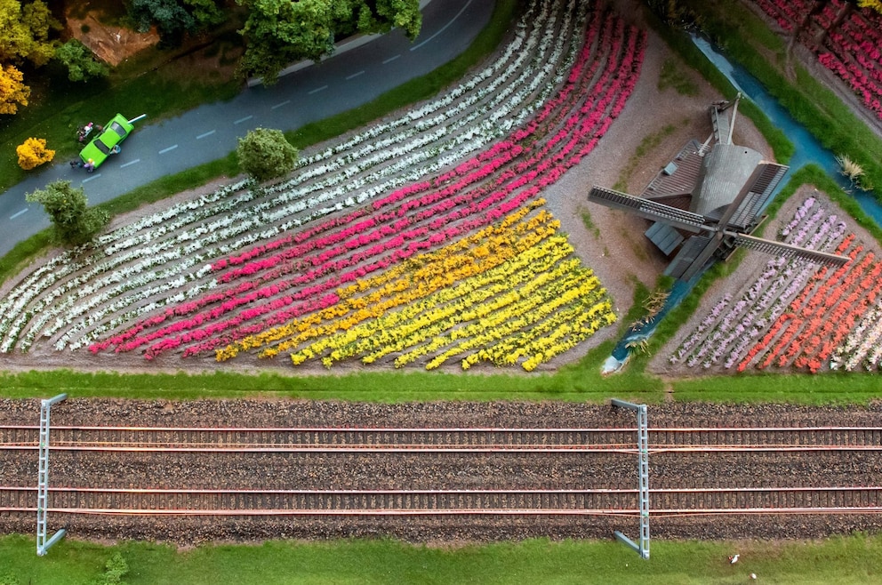 Tulpen, Gleise und Straße im Miniatur Wunderland Bereich &quot;Die Welt von oben&quot;