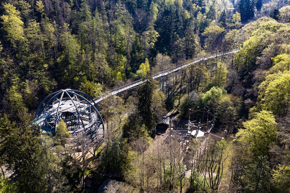 Standesamt auf dem Baumwipfelpfad in Bad Harzburg