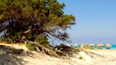 Chrissi Island