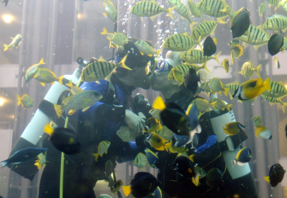 Unterwasser-Hochzeit im Sea-Life Berlin