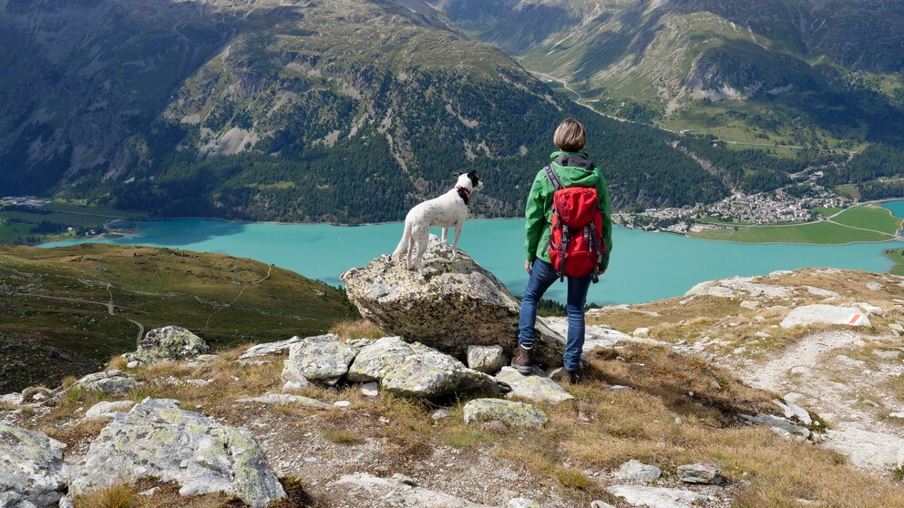 Woman and dog on Corvatsch hiking towards Silvaplana