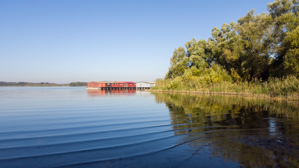 Ausflugsziele für 9-Euro-Ticket: Müritz