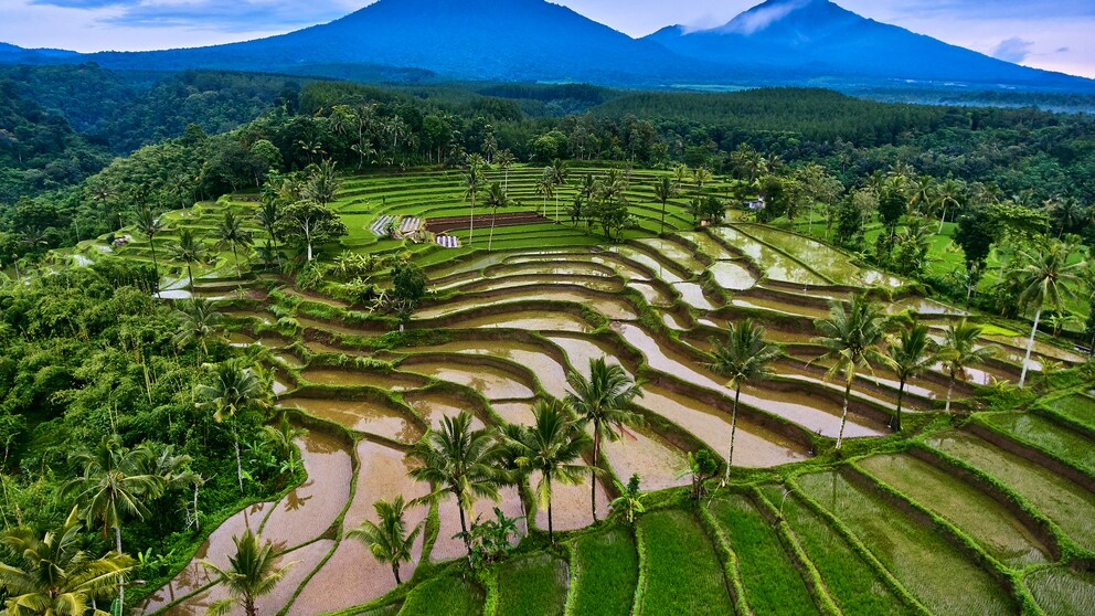Java Reisetipps