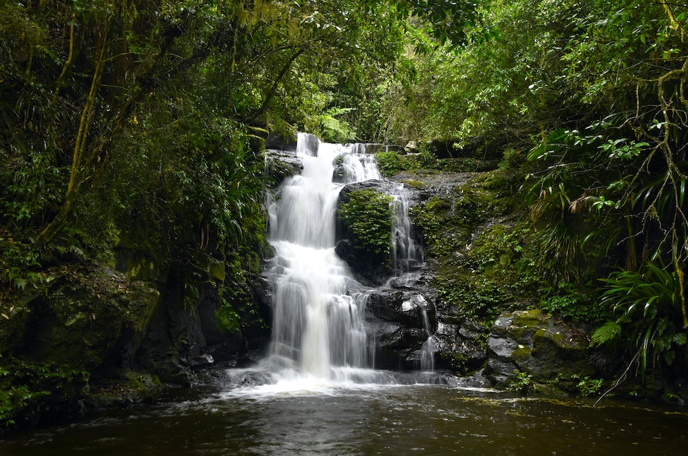 Lamington National Park