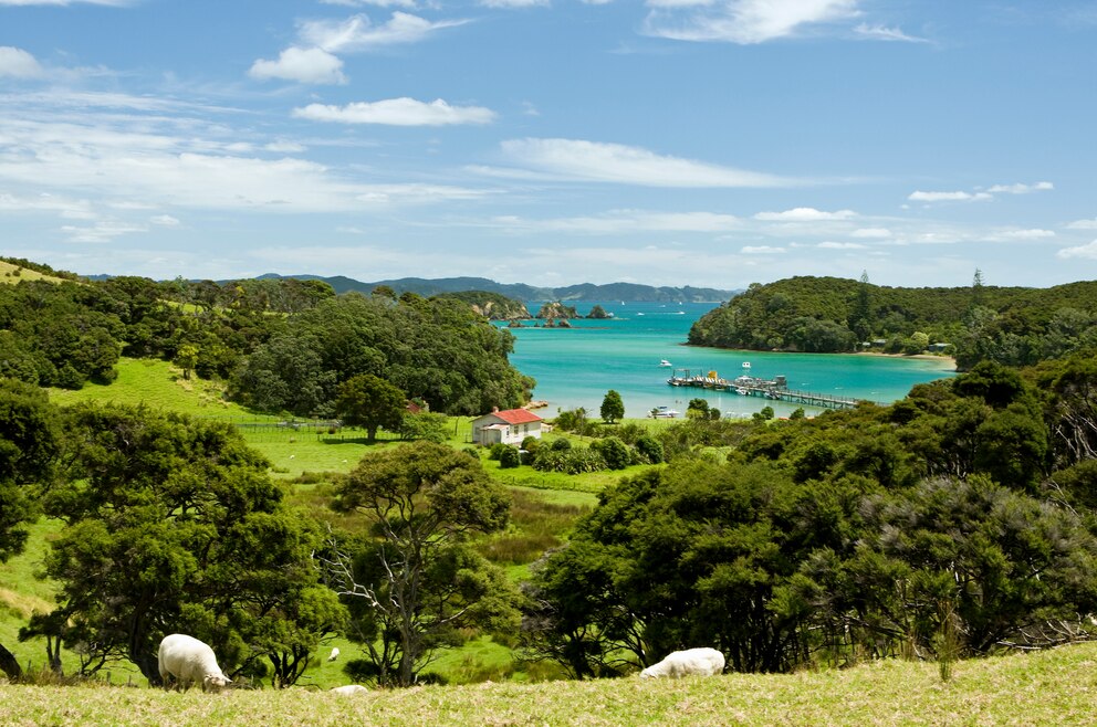 Urupukapuka Island