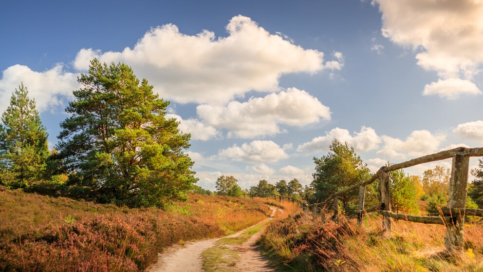 Der „Heidschnuckenweg“ ist auf jeden Fall einer der schönsten Wanderwege in Deutschland – und laut Travelcircus auch einer der spannendsten