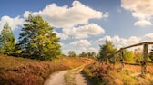 Der „Heidschnuckenweg“ ist auf jeden Fall einer der schönsten Wanderwege in Deutschland – und laut Travelcircus auch einer der spannendsten